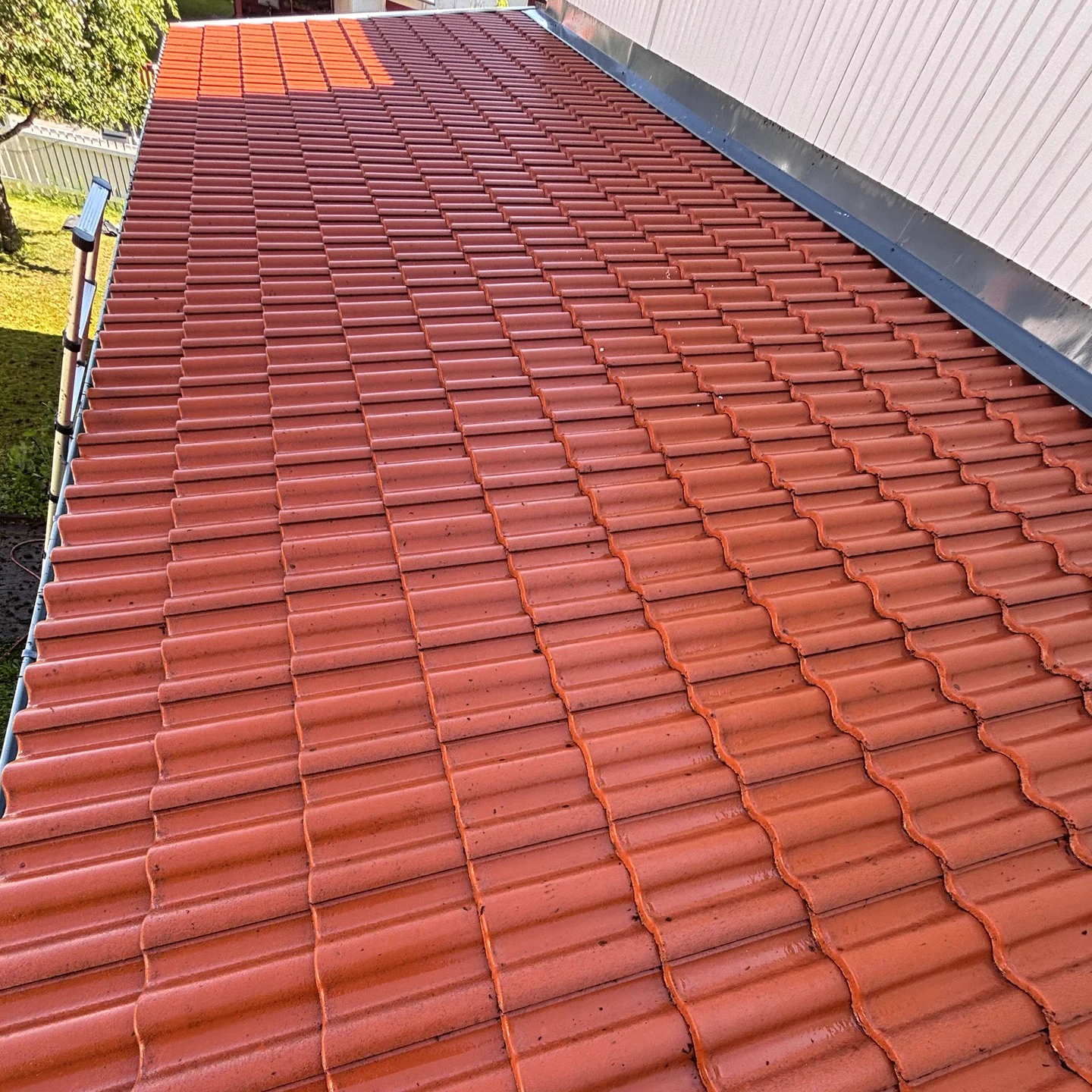 Professionell takvård Stockholm - Komplett tak- och rengöringsservice